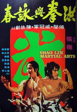 洪拳与咏春封面