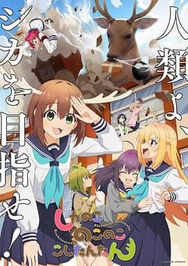 鹿乃子乃子虎视眈眈封面