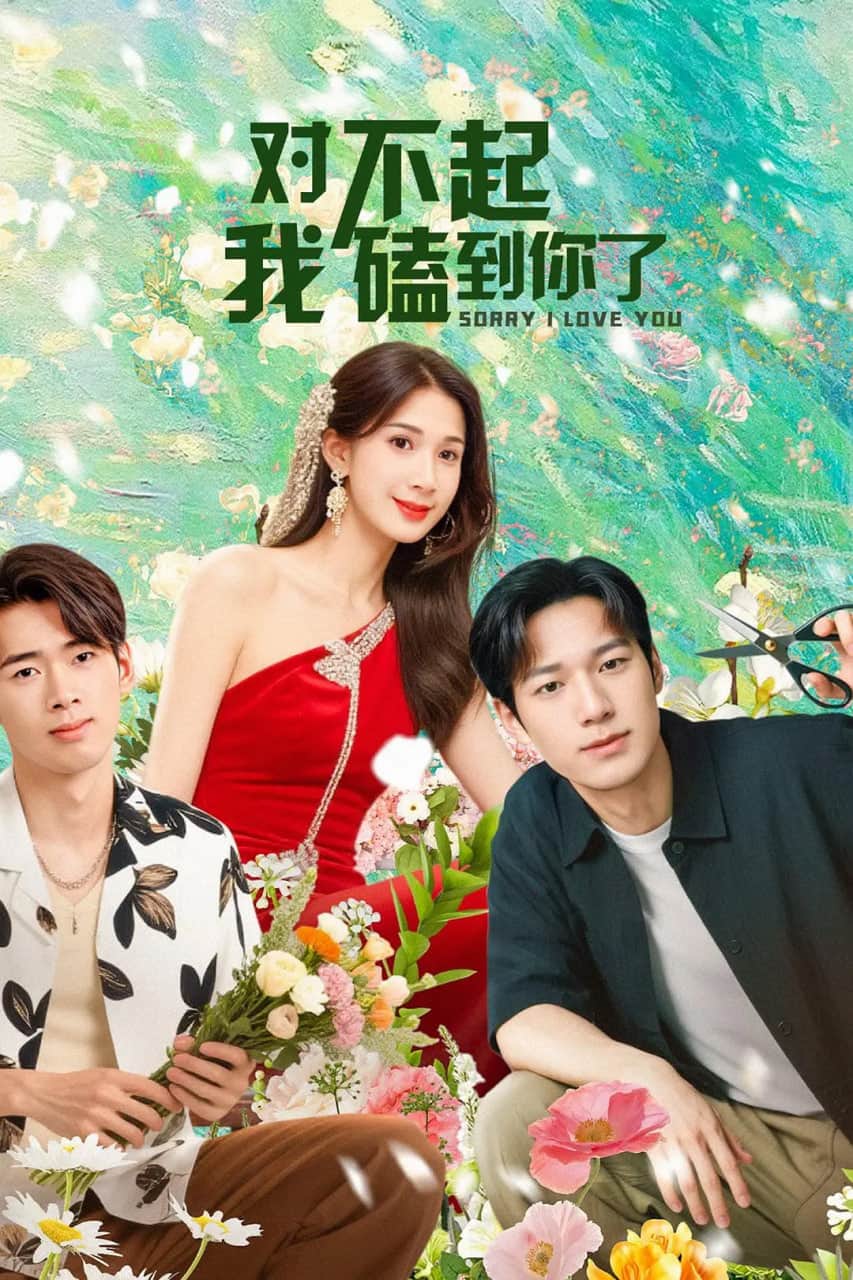 对不起,我磕到你了封面