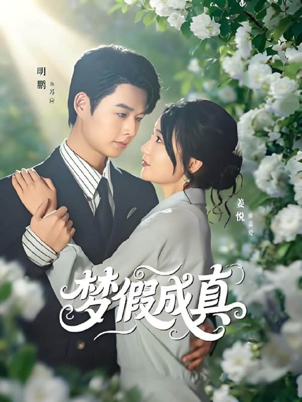 梦假成真封面