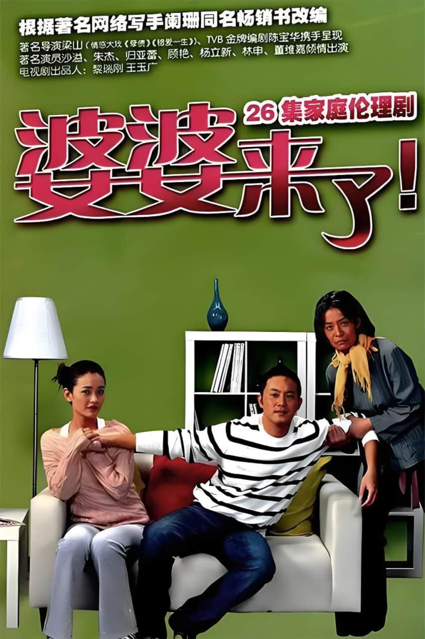 婆婆来了封面