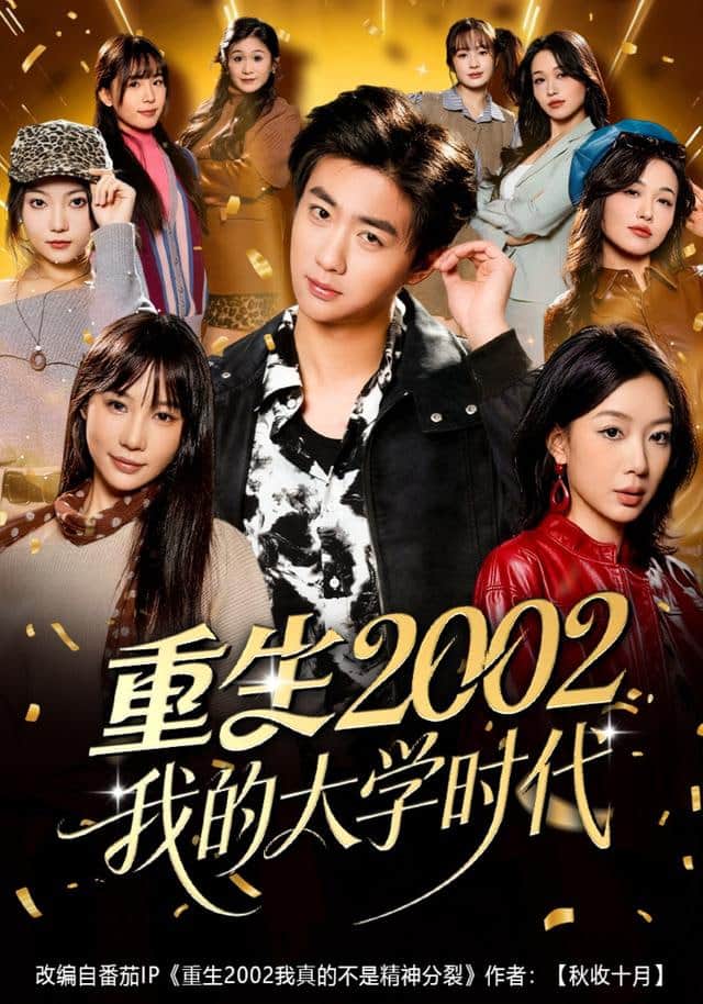 重生2002我的大学时代封面