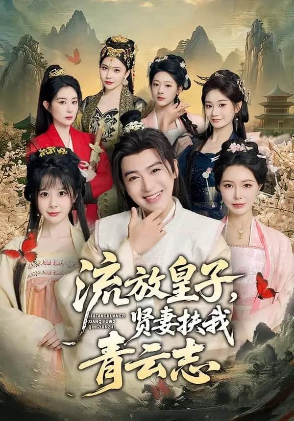 流放皇子，贤妻扶我青云志封面