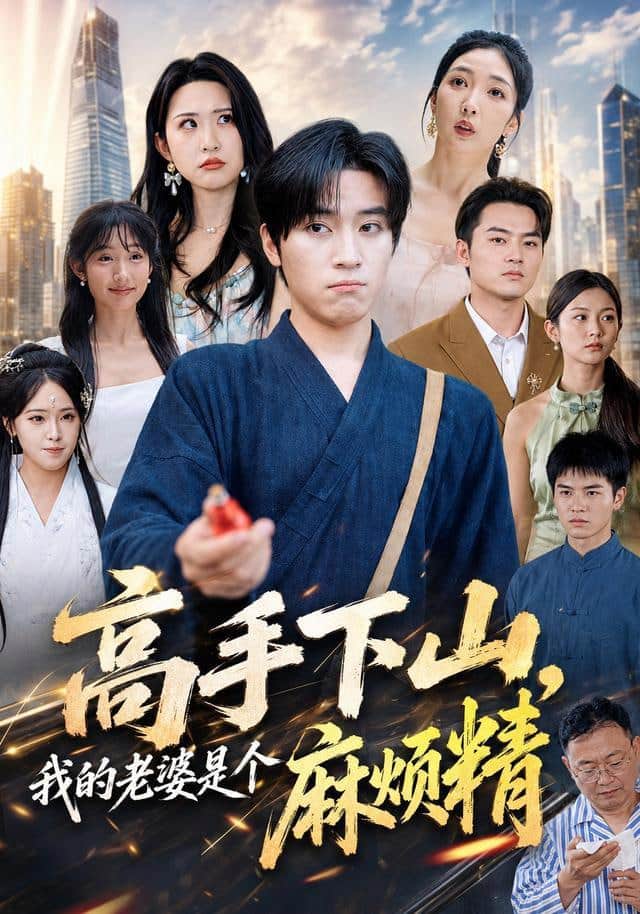 高手下山,我的老婆是个麻烦精封面
