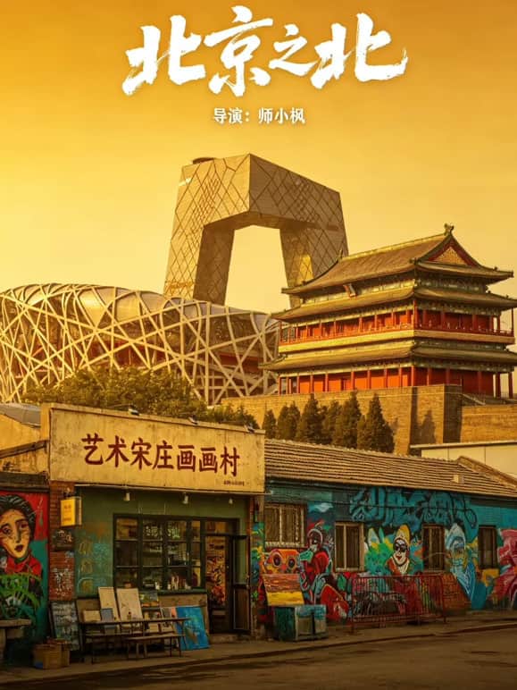 北京偏北——宋封面