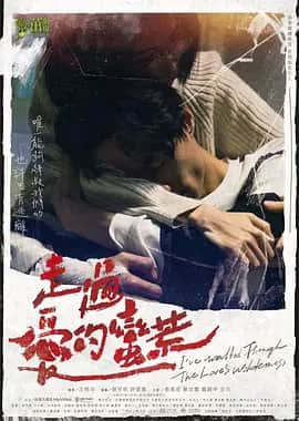 走过爱的荒蛮封面