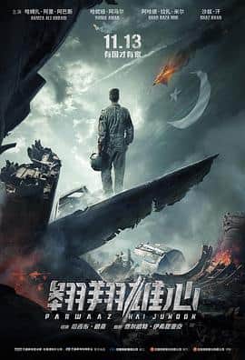 翱翔雄心（普通话)封面
