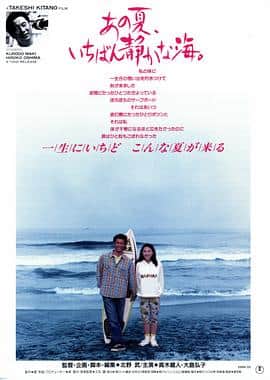 那年夏天，宁静的海封面