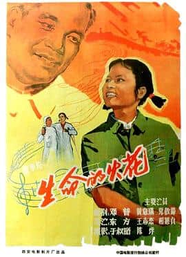 生命的火花封面