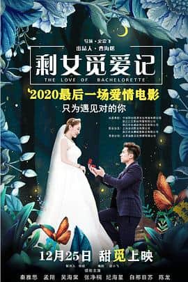 剩女觅爱记封面