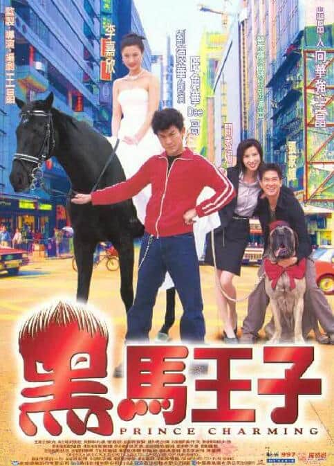 黑马王子封面