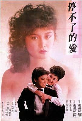 停不了的爱封面