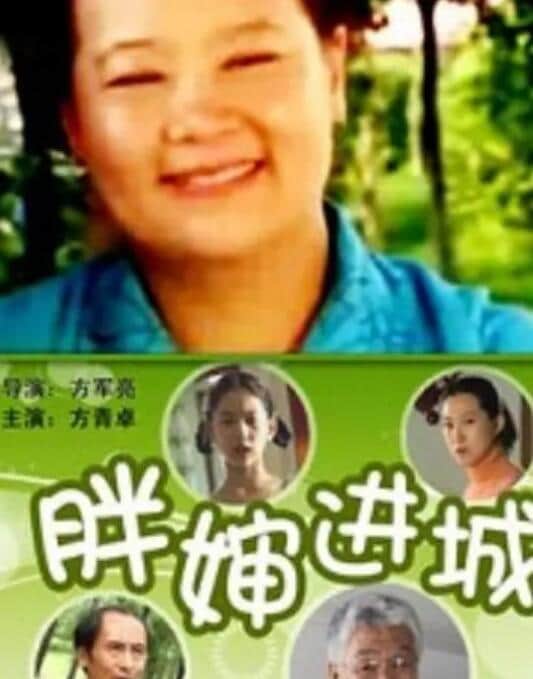 胖婶进城封面