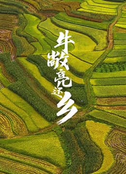 牛敞亮还乡封面