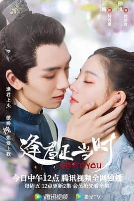 逢君正当时封面