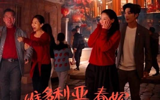 维多利亚春妮回家过年100招封面
