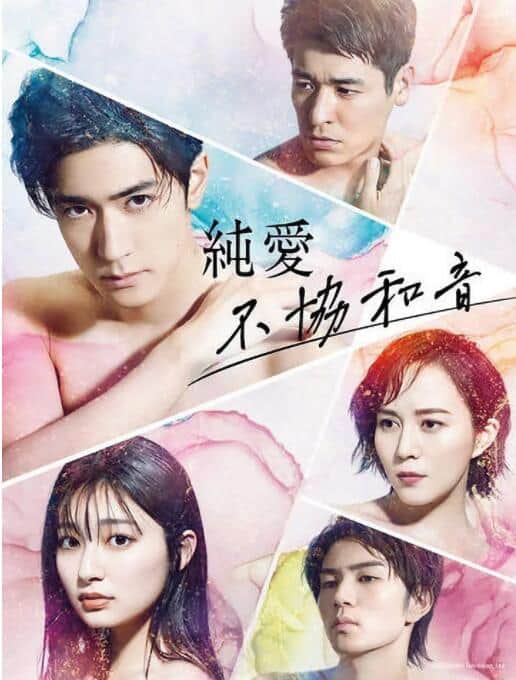 纯爱不和谐音封面