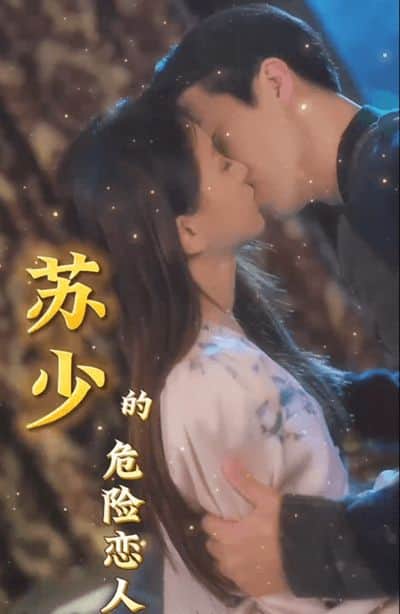 苏少的危险恋人封面