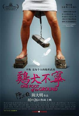 鸡犬不宁封面