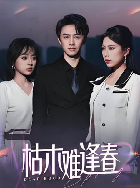 枯木难逢春封面