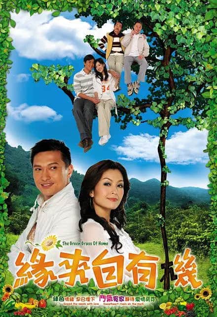 缘来自有机封面