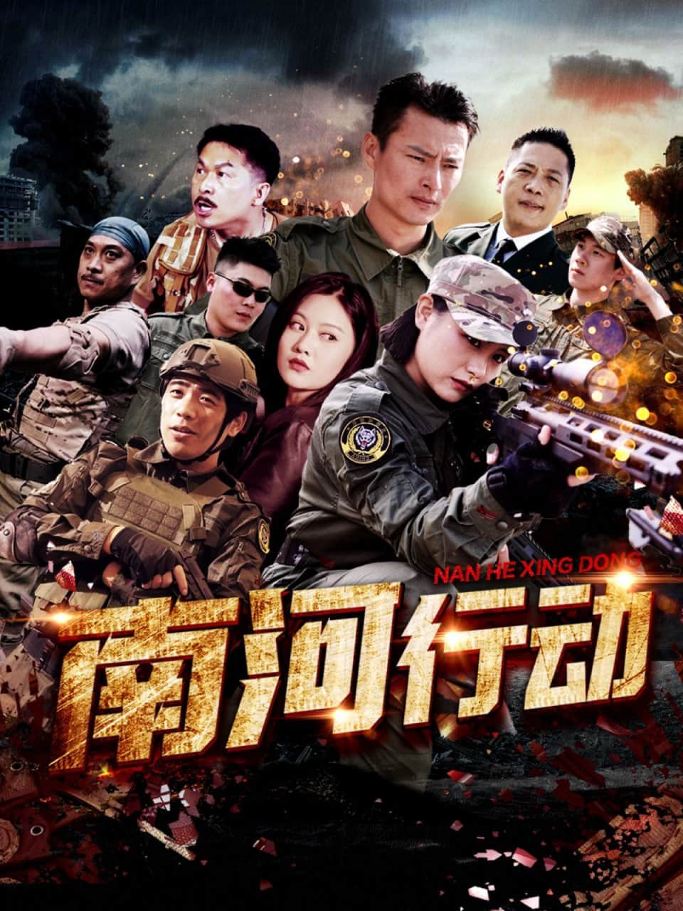 南河行动封面
