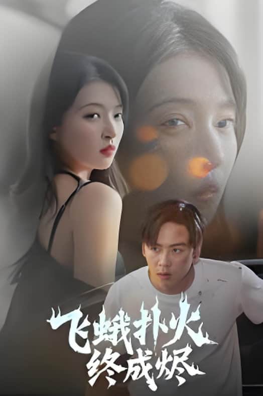 飞蛾扑火终成烬封面