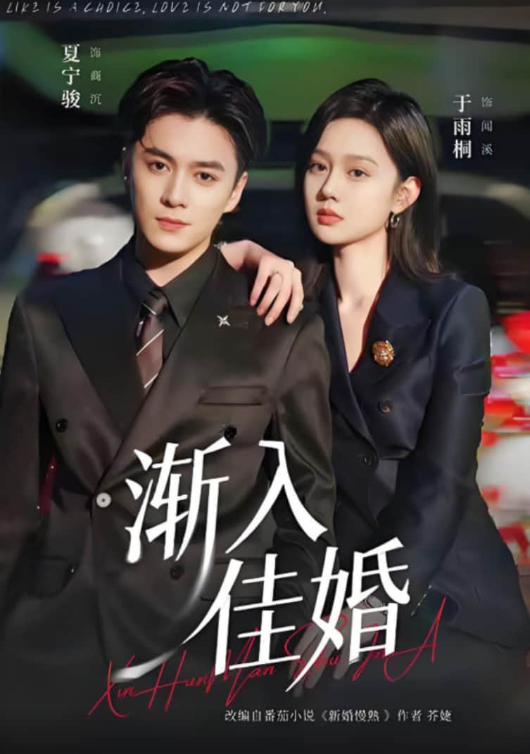 渐入佳婚封面