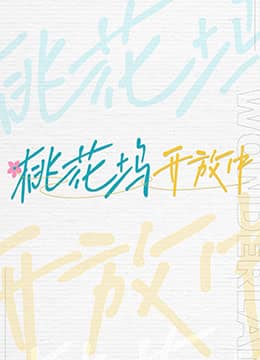 桃花坞开放中封面