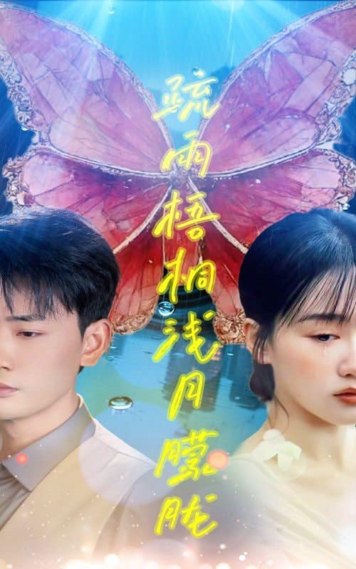 疏雨梧桐浅月朦胧封面
