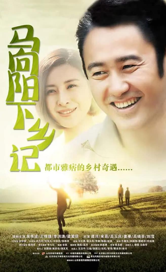 马向阳下乡记封面