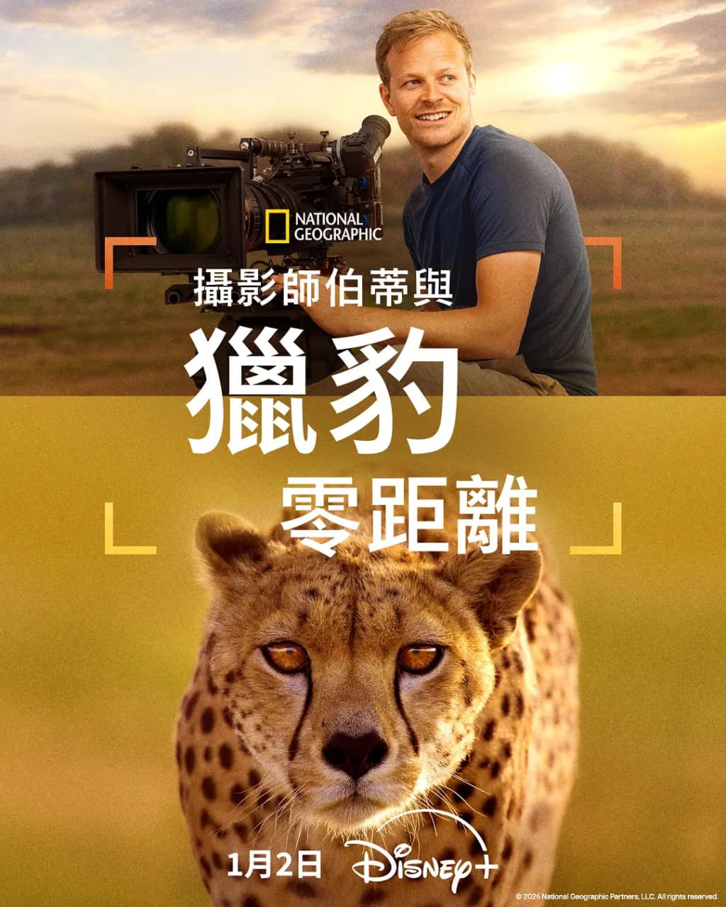 摄影师贝尔蒂与猎豹零距离封面