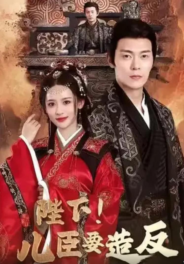 陛下！儿臣要造反封面