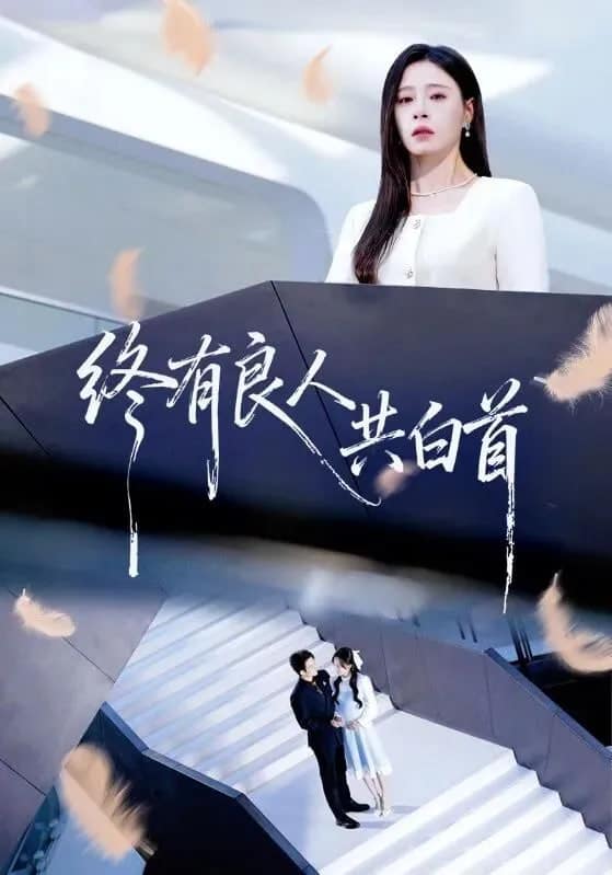 终有良人共白首封面