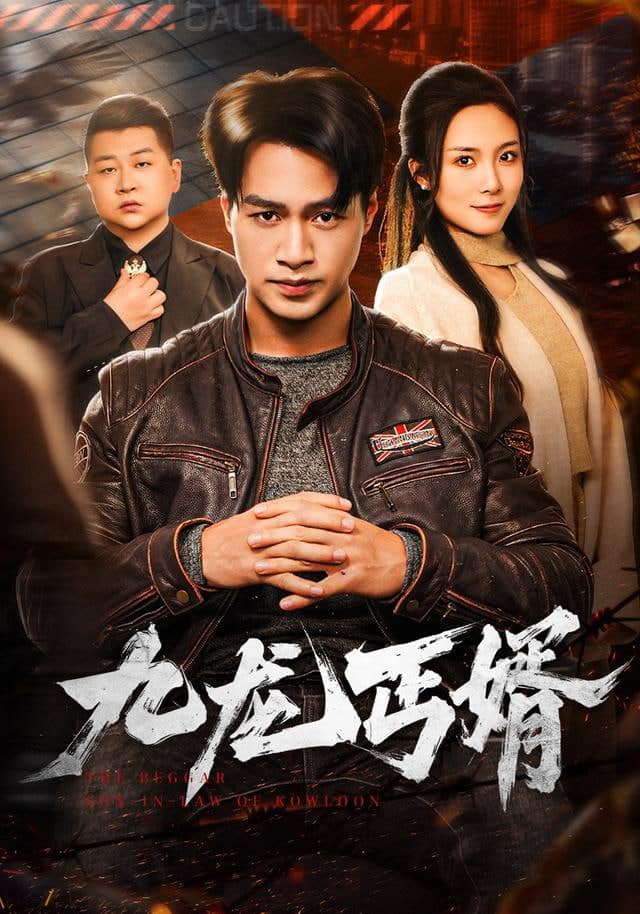 九龙丐婿封面