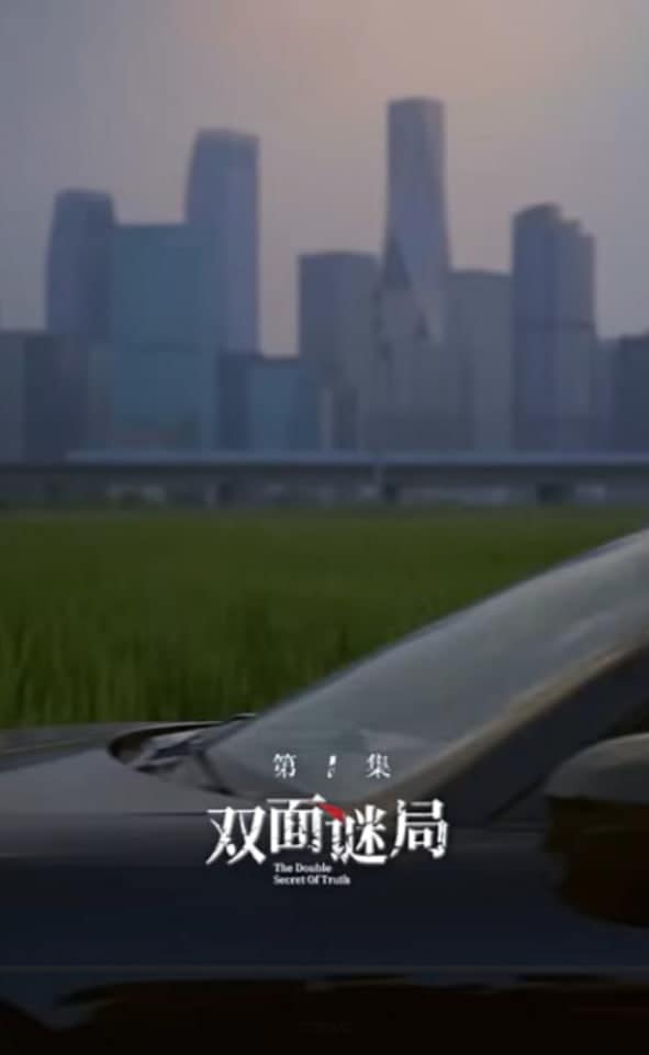 双面婚局封面