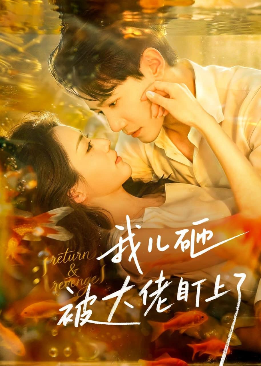我儿砸被大佬盯上了封面