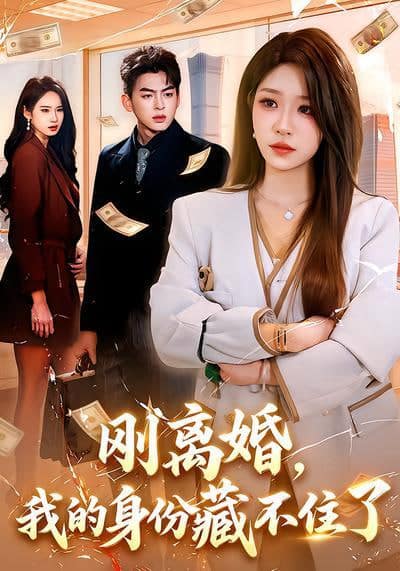 刚离婚，我的身份藏不住了封面