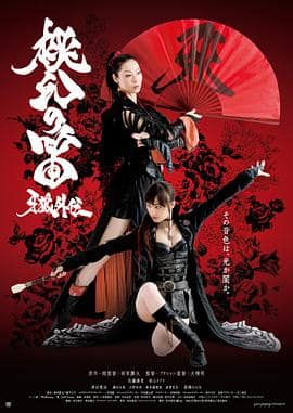 牙狼外传：桃幻之笛封面