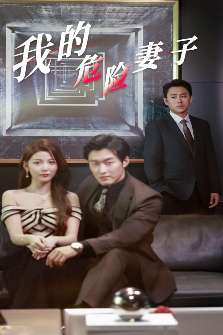 我的危险妻子封面
