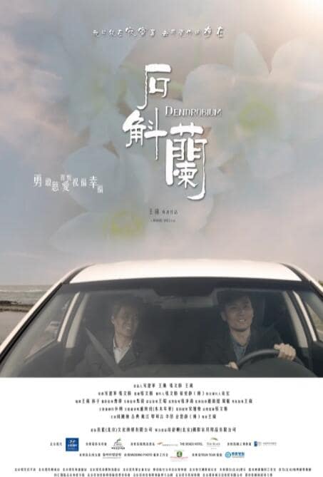 石斛兰封面