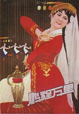 鹏程万里封面