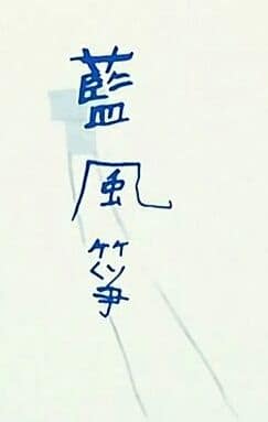 蓝风筝封面