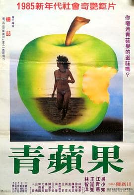 飞女四人组封面