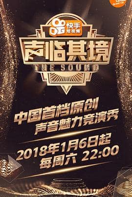 声临其境 第一季封面