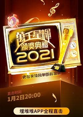 万千星辉颁奖典礼 2021封面