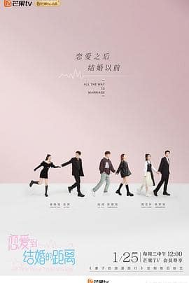 恋爱到结婚的距离封面