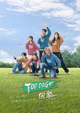 TOP DOG封面