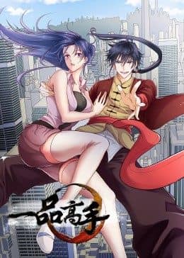 一品高手封面
