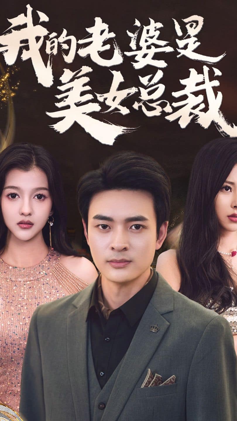 我的老婆是美女总裁封面